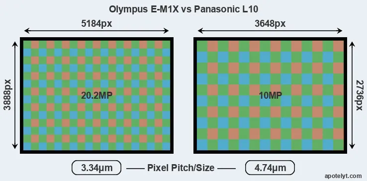 E-M1X versus L10 MP