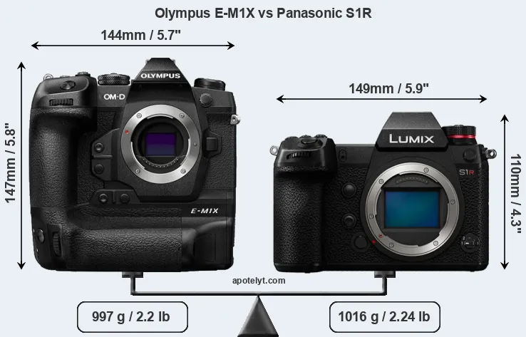 Size Olympus E-M1X vs Panasonic S1R