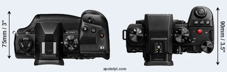 Compare E-M1X versus S5 II top