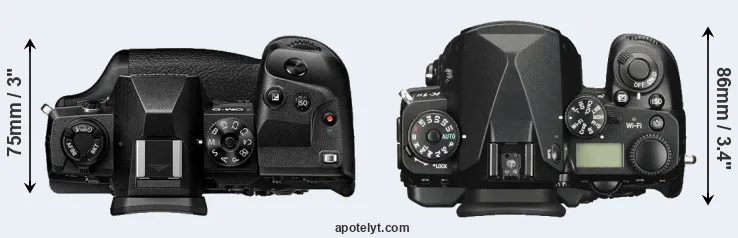 Compare E-M1X versus K-1 II top