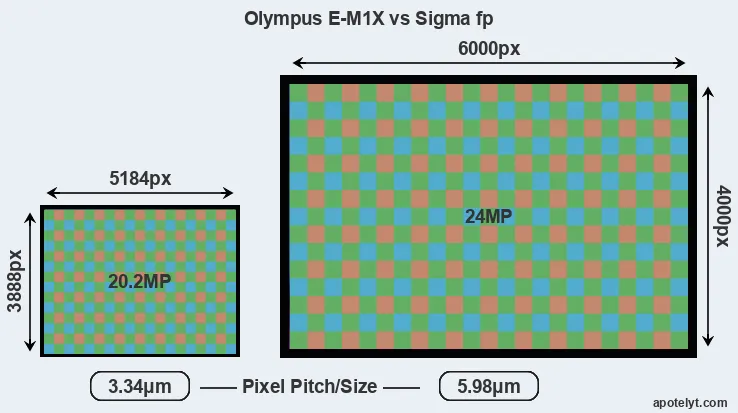 E-M1X versus fp MP