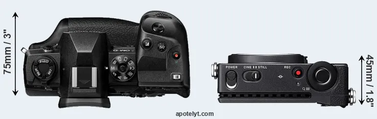 Compare E-M1X versus fp top