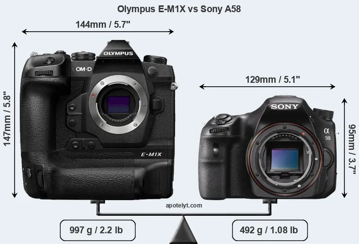 Size Olympus E-M1X vs Sony A58
