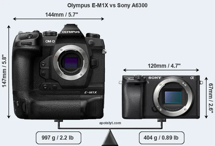 Size Olympus E-M1X vs Sony A6300