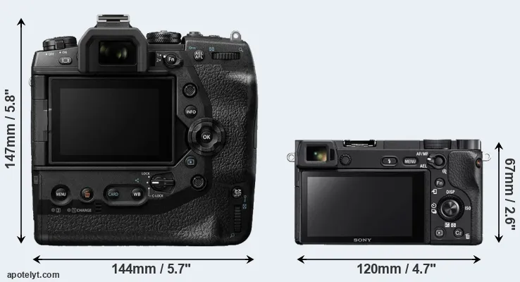 Comparison E-M1X or A6300 rear