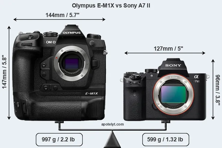 Size Olympus E-M1X vs Sony A7 II