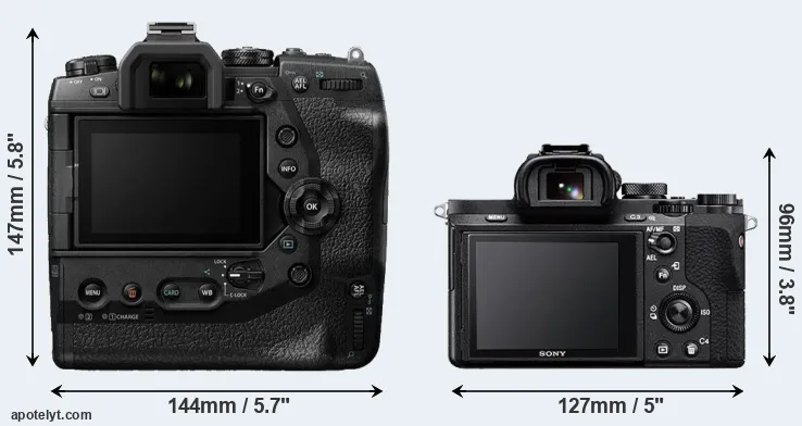 Comparison E-M1X or A7 II rear