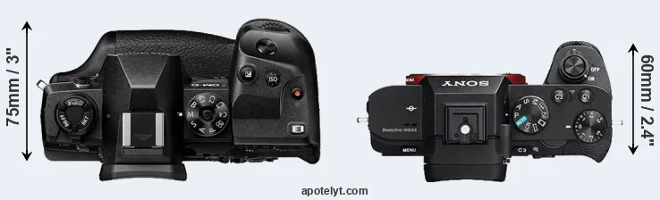 Compare E-M1X versus A7 II top