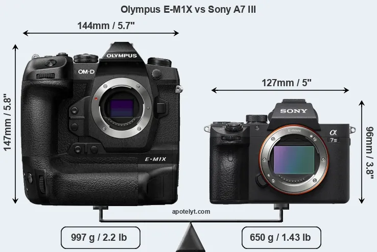 Size Olympus E-M1X vs Sony A7 III