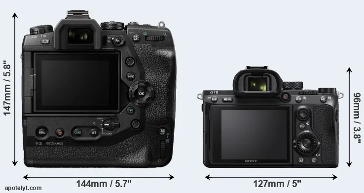 Comparison E-M1X or A7 III rear