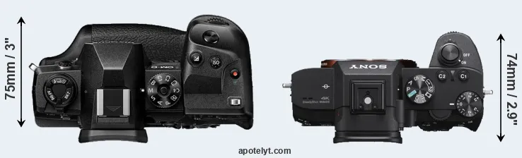 Compare E-M1X versus A7 III top