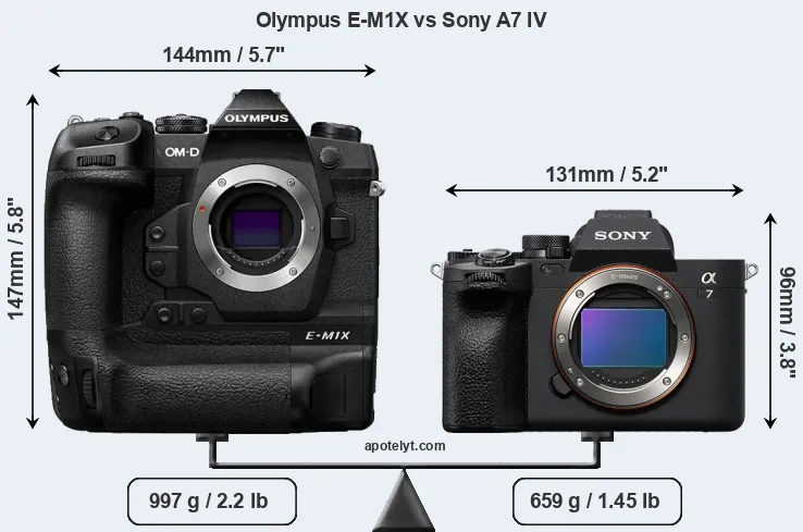 Size Olympus E-M1X vs Sony A7 IV