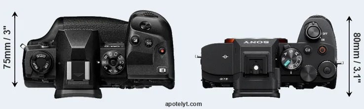 Compare E-M1X versus A7 IV top