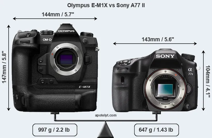 Size Olympus E-M1X vs Sony A77 II