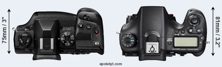 Compare E-M1X versus A77 II top