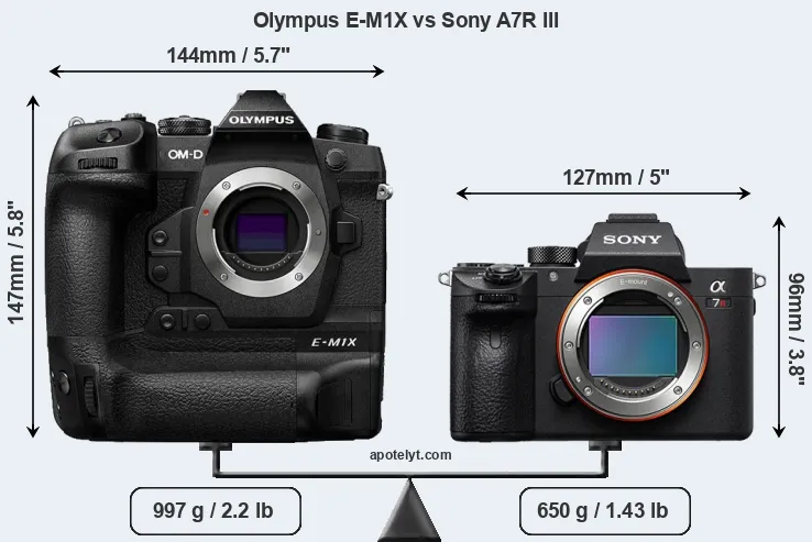 Size Olympus E-M1X vs Sony A7R III