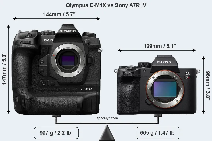Size Olympus E-M1X vs Sony A7R IV