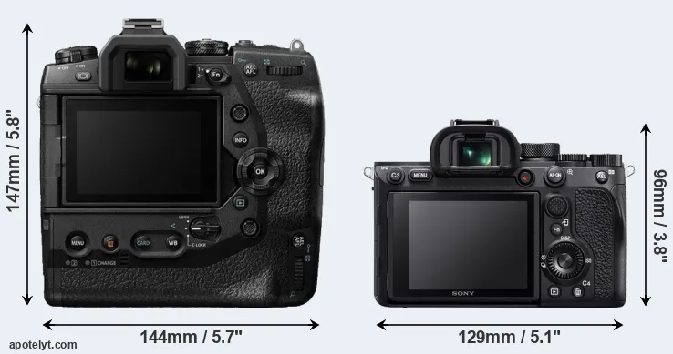 Comparison E-M1X or A7R IV rear