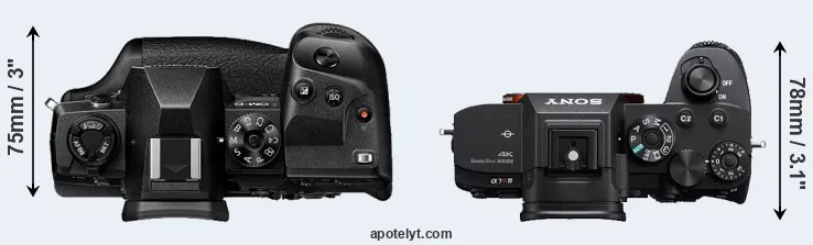 Compare E-M1X versus A7R IV top