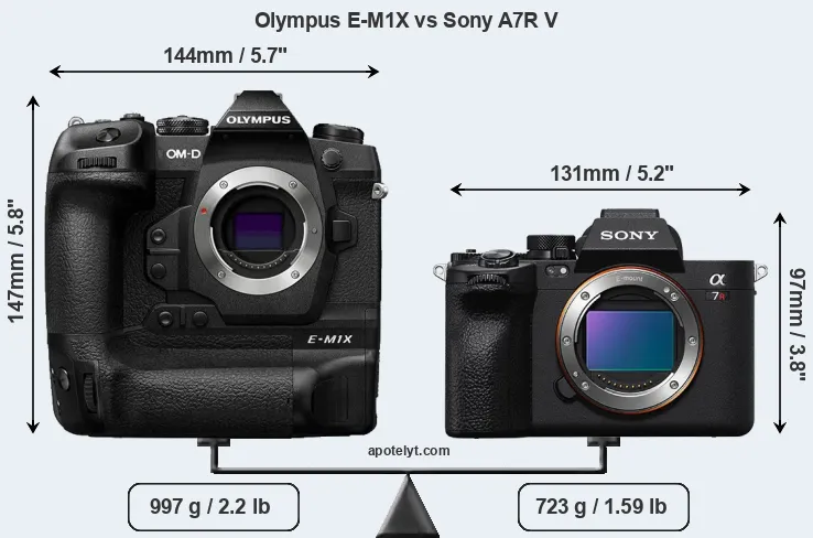 Size Olympus E-M1X vs Sony A7R V