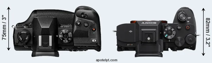Compare E-M1X versus A7R V top