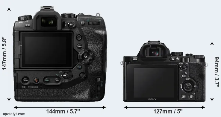 Comparison E-M1X or A7S rear