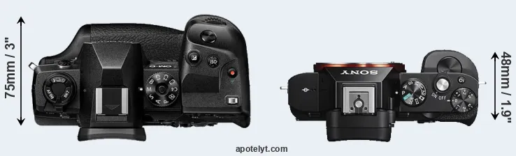 Compare E-M1X versus A7S top