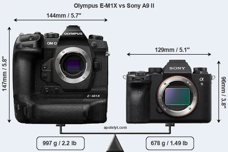Size Olympus E-M1X vs Sony A9 II
