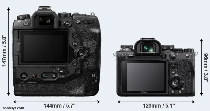 Comparison E-M1X or A9 II rear