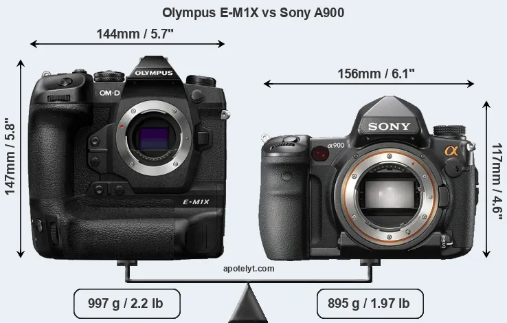 Size Olympus E-M1X vs Sony A900