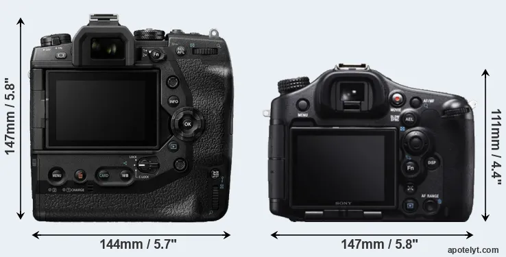 Comparison E-M1X or A99 rear