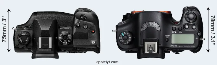 Compare E-M1X versus A99 top