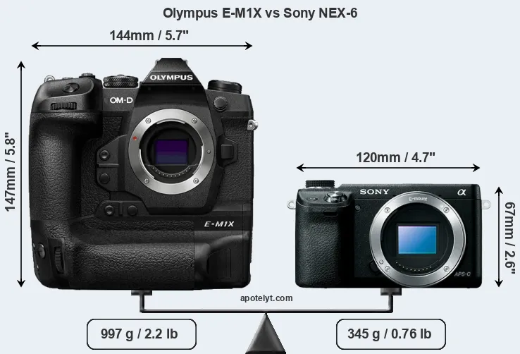 Size Olympus E-M1X vs Sony NEX-6