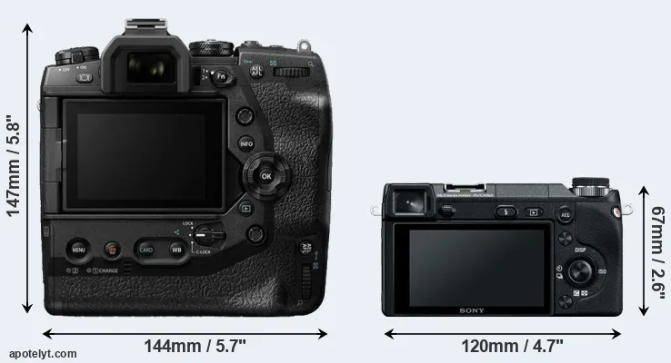 Comparison E-M1X or NEX-6 rear