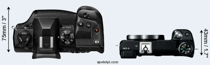 Compare E-M1X versus NEX-6 top