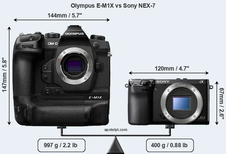 Size Olympus E-M1X vs Sony NEX-7