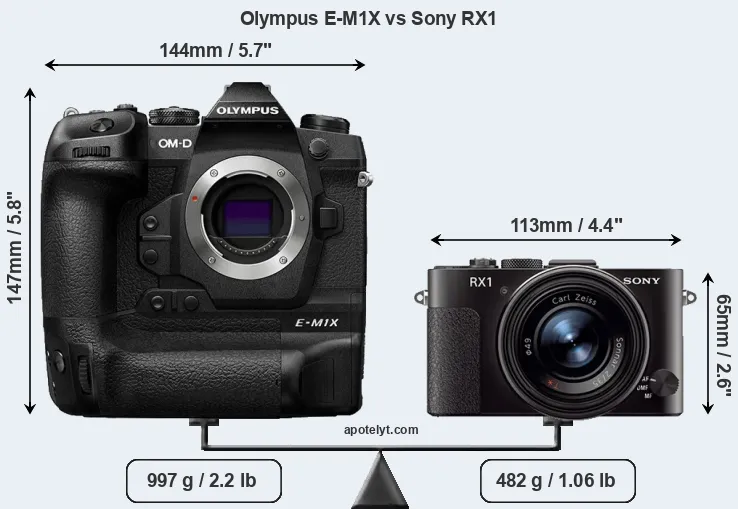 Size Olympus E-M1X vs Sony RX1