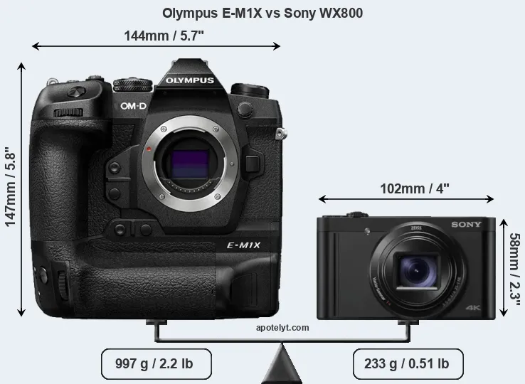 Size Olympus E-M1X vs Sony WX800