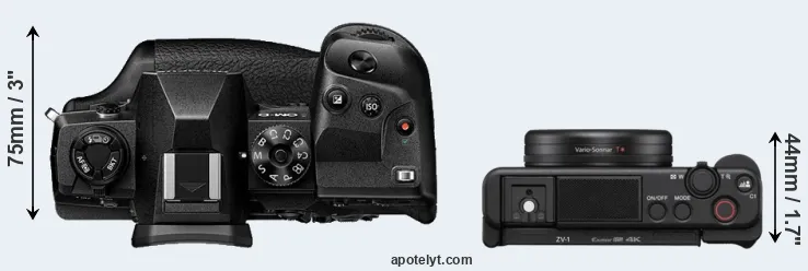 Compare E-M1X versus ZV-1 top