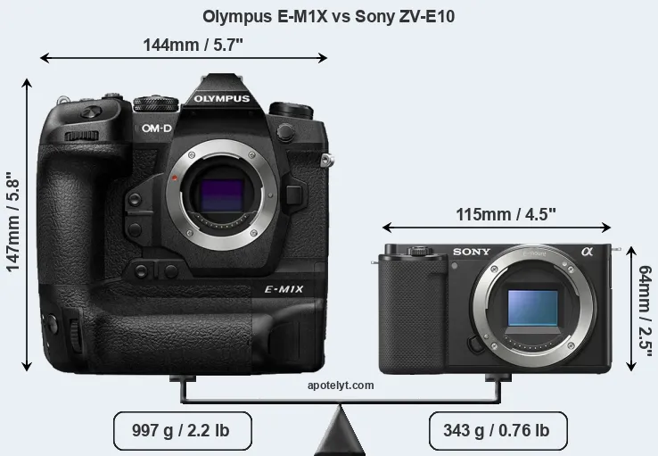 Size Olympus E-M1X vs Sony ZV-E10