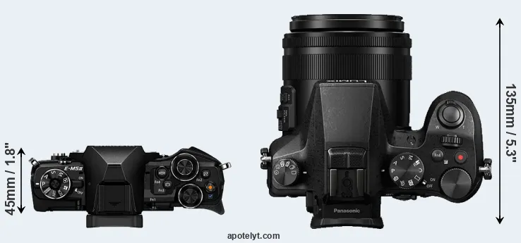 Compare E-M5 II versus FZ2500 top