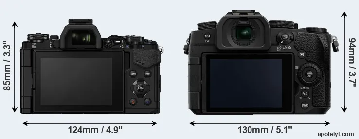 Comparison E-M5 II or G90 rear