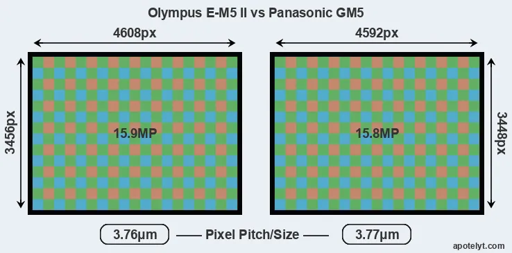 E-M5 II versus GM5 MP