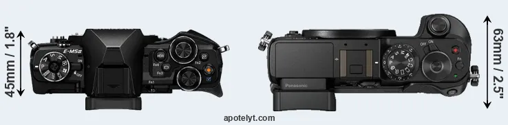 Compare E-M5 II versus GX8 top