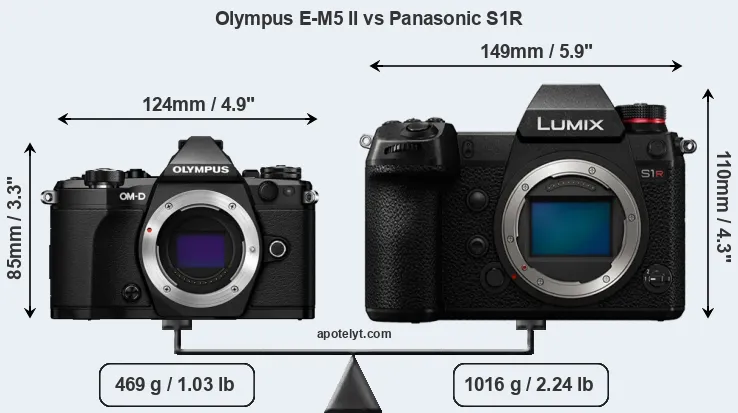 Size Olympus E-M5 II vs Panasonic S1R