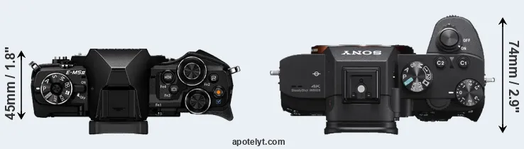 Compare E-M5 II versus A7 III top