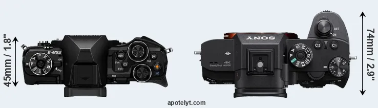 Compare E-M5 II versus A7R IIIA top