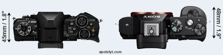 Compare E-M5 II versus A7R top