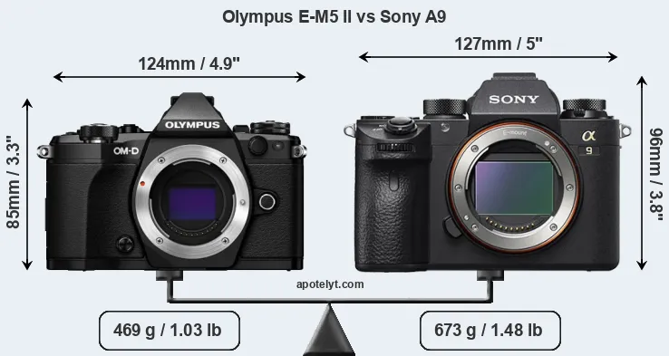 Size Olympus E-M5 II vs Sony A9
