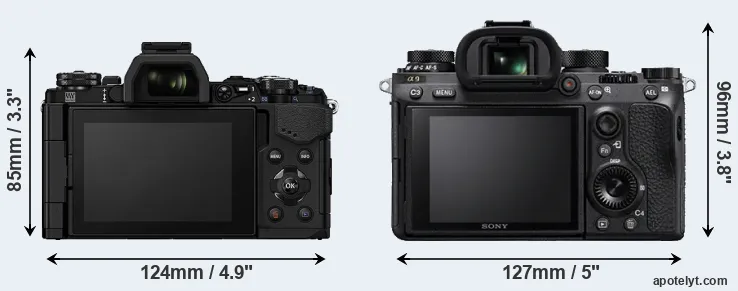 Comparison E-M5 II or A9 rear